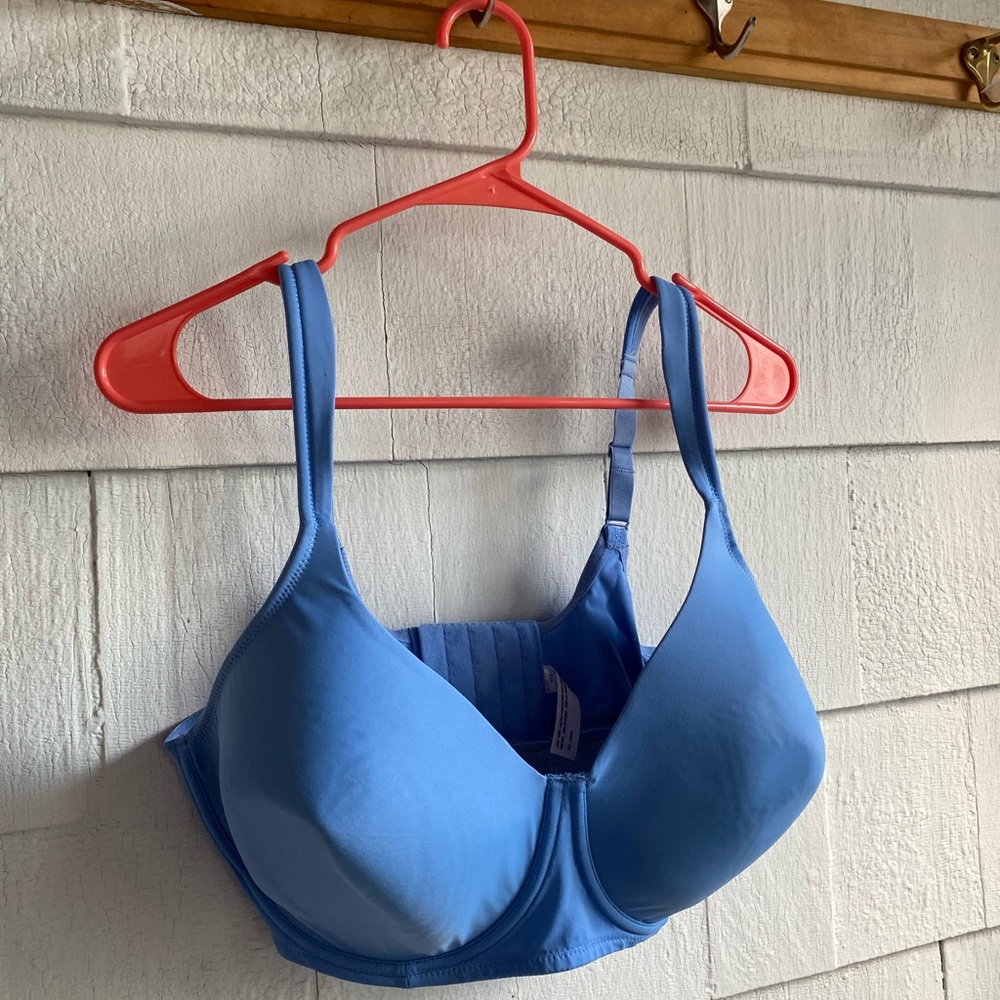 Leading Lady Brigitte Bra